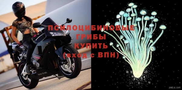 apvp Коряжма