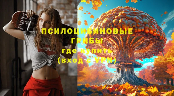 синтетический гашиш Кодинск
